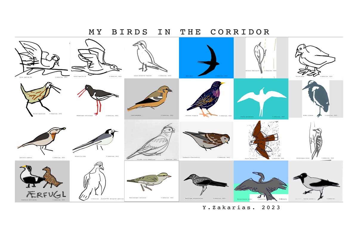 In the first issue of birds around my house is a selection of 24 species